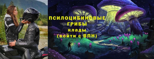 сатива Нижний Тагил