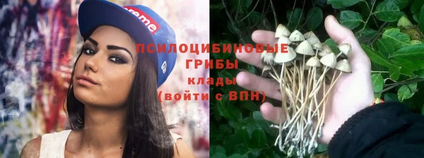 сатива Нижний Тагил