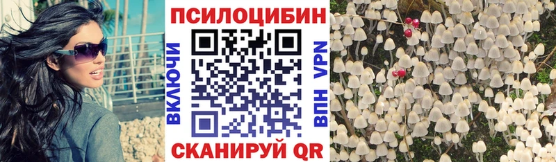 Купить закладки Тара Галлюциногенные грибы GOLDEN TEACHER